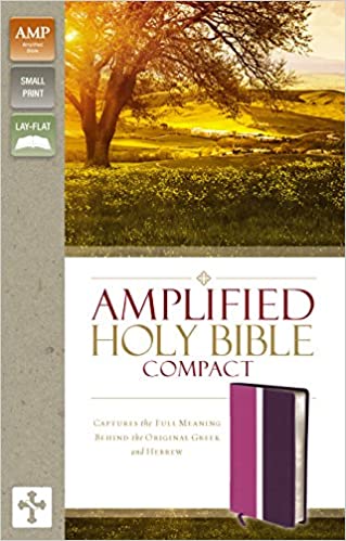 Amplified Holy Bible Compact I/Leather Pink/Purple - Zondervan